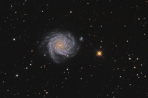 NGC1232